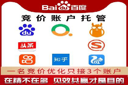 SEM代理实战：成功案例分享与经验总结
