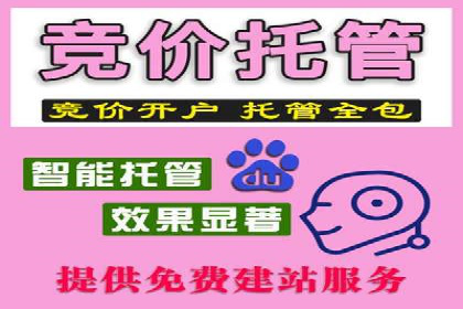百度竞价代理全攻略：成功案例分享